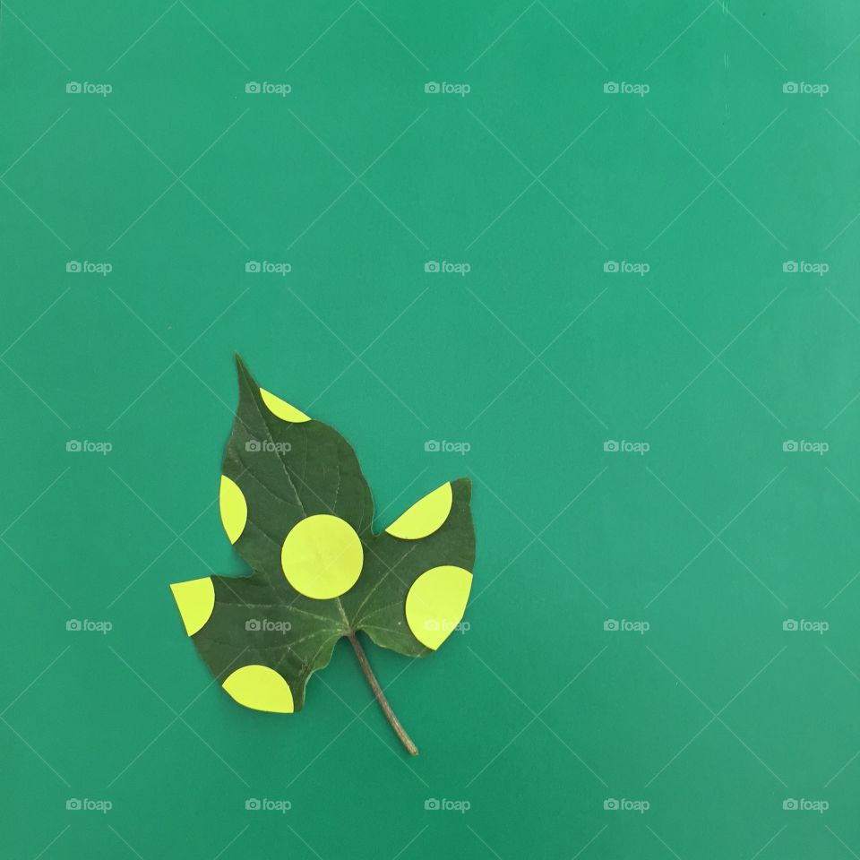 Polka dots , leaf , green