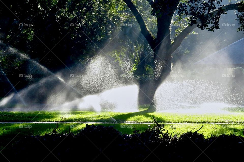 Morning sprinklers in the sun