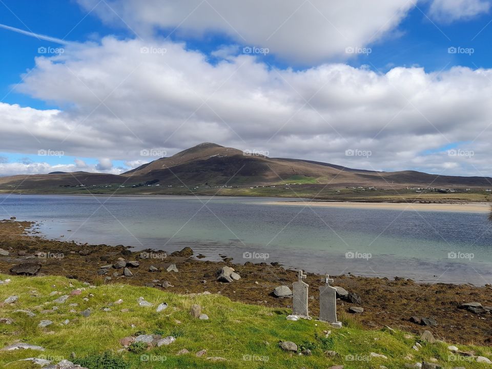 Beautiful Ireland, seaweed, mountains, shore, summer