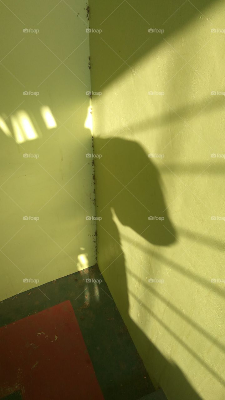 shade of shadows