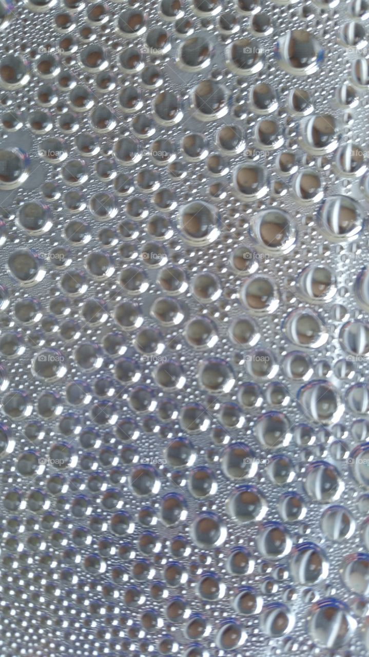 humidity in the incubator