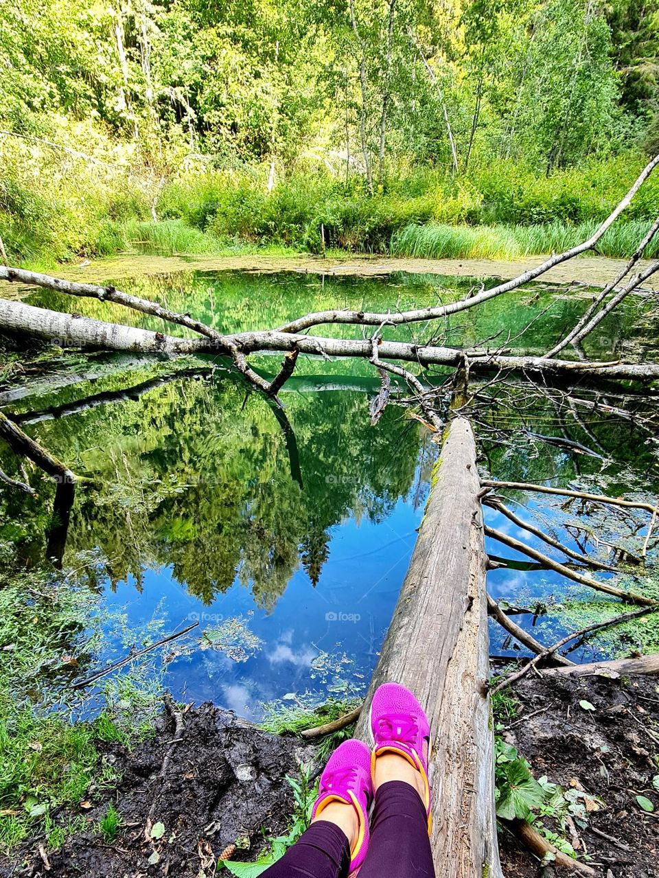 Siniallikad, Estonia 