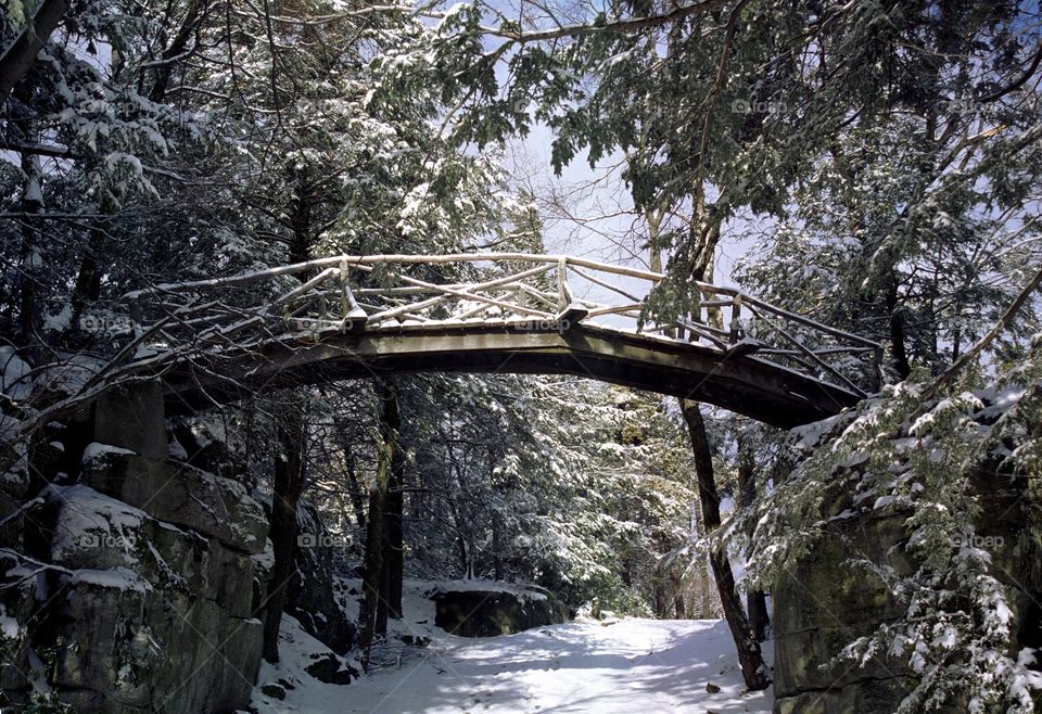 Bridge in woods covered in snow in upstate New York. 