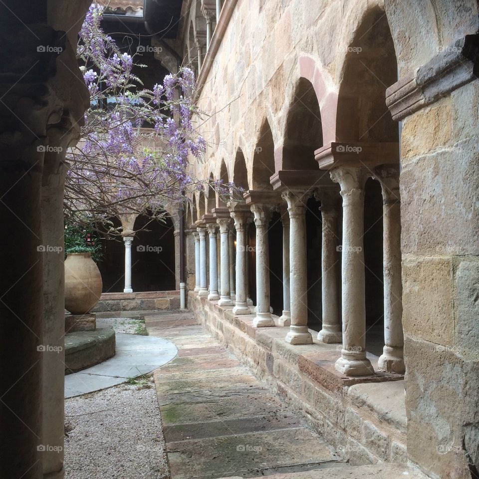 cloister, colonnade, flowering trees, courtyard, Frejus, France,  