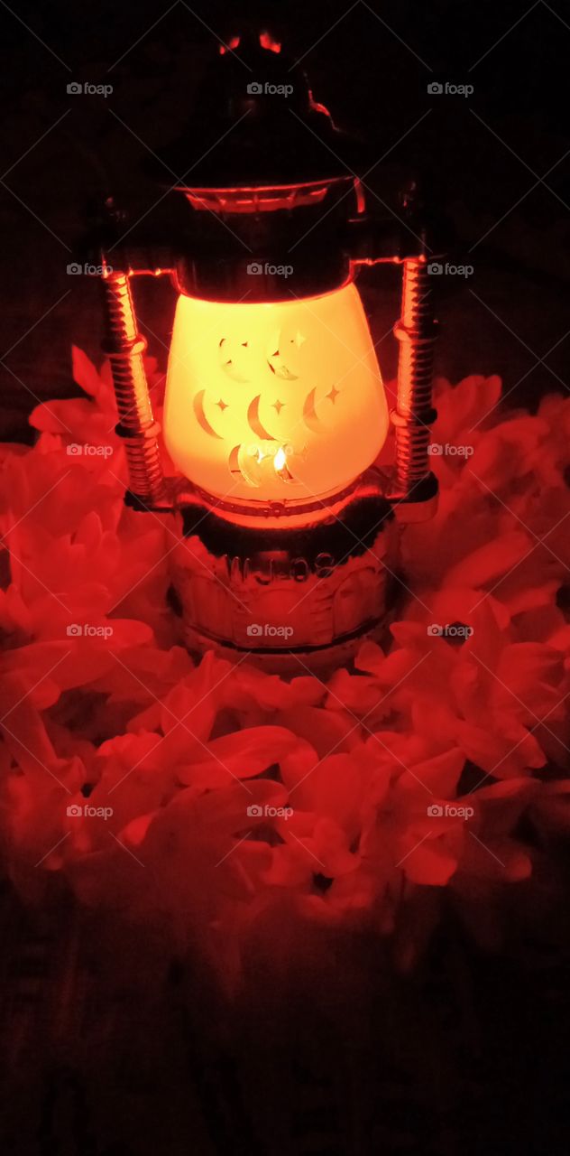 Light: Natural vs artificial