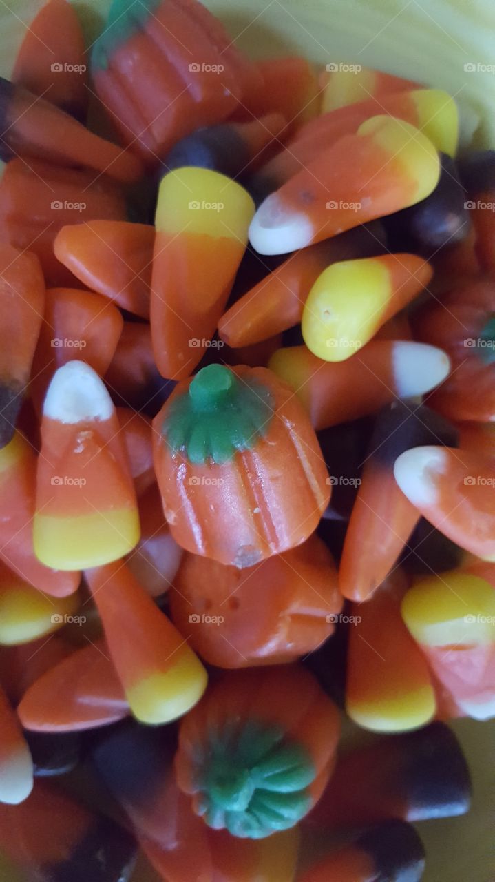 candy corn