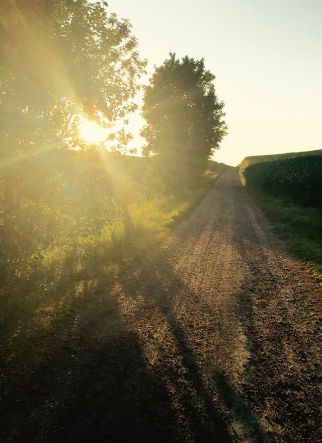 Walking home