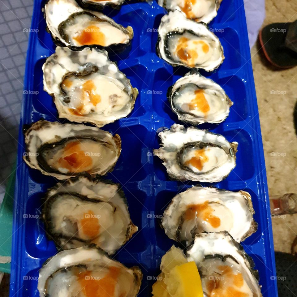 yummy Oyster