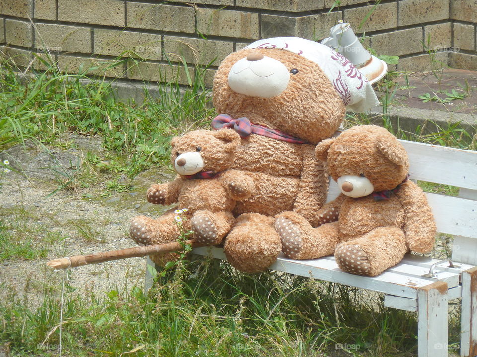 teddy bears in Kyoto