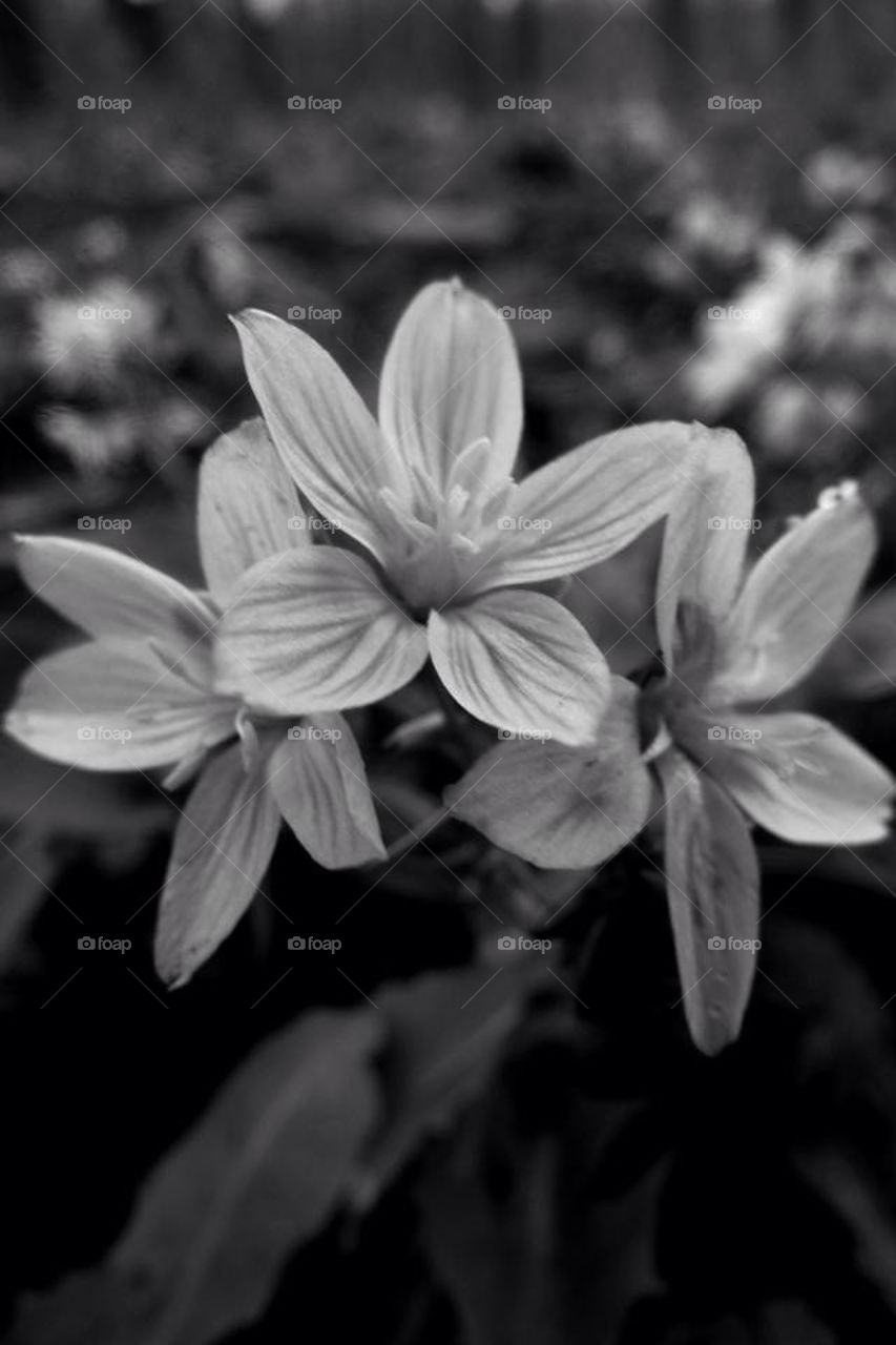 Spring is in the Air!