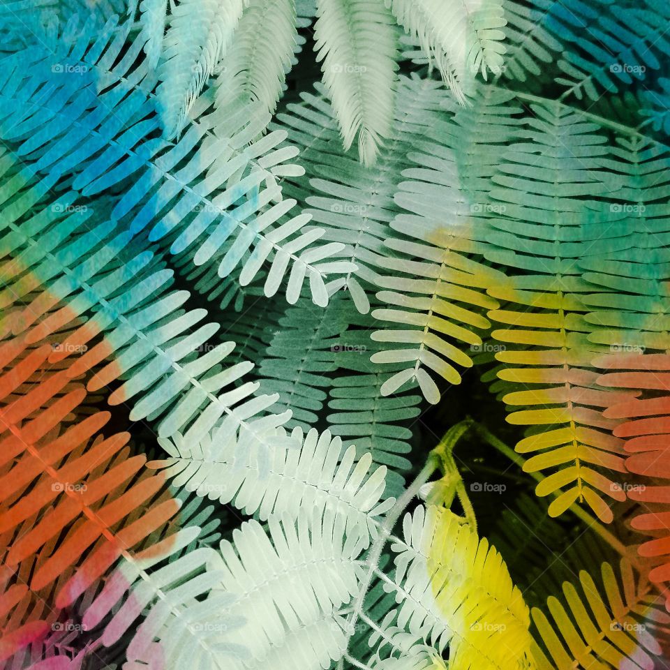 nature green photo smartphone style