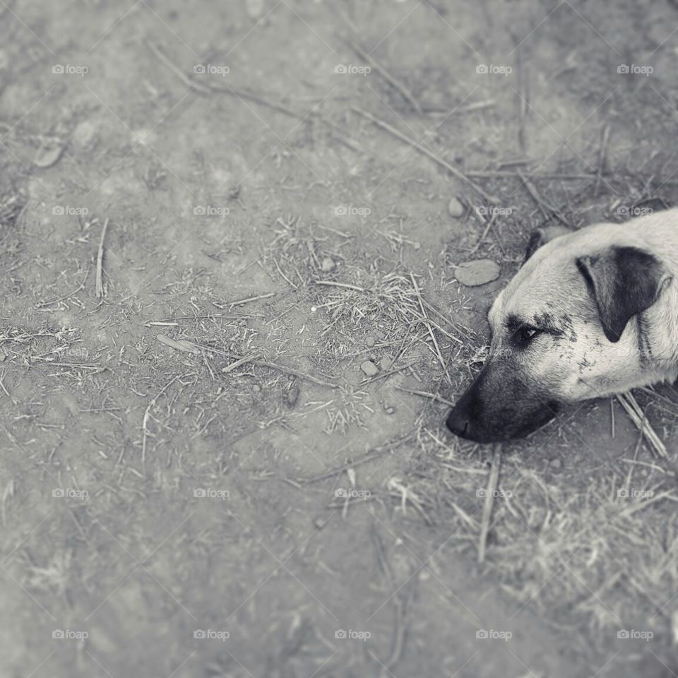 Sleeplessness. Rishikesh, India