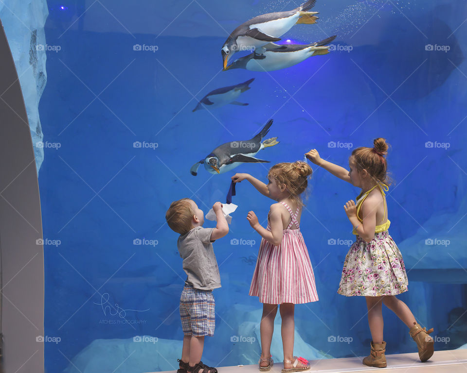 Kids and penguins at zoo