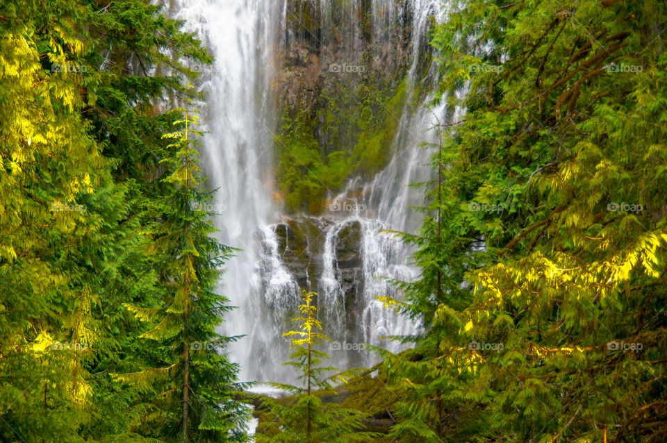 View of waterfall in forest