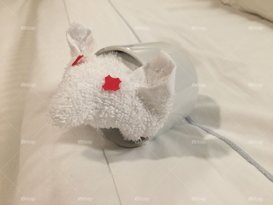 Towel animal