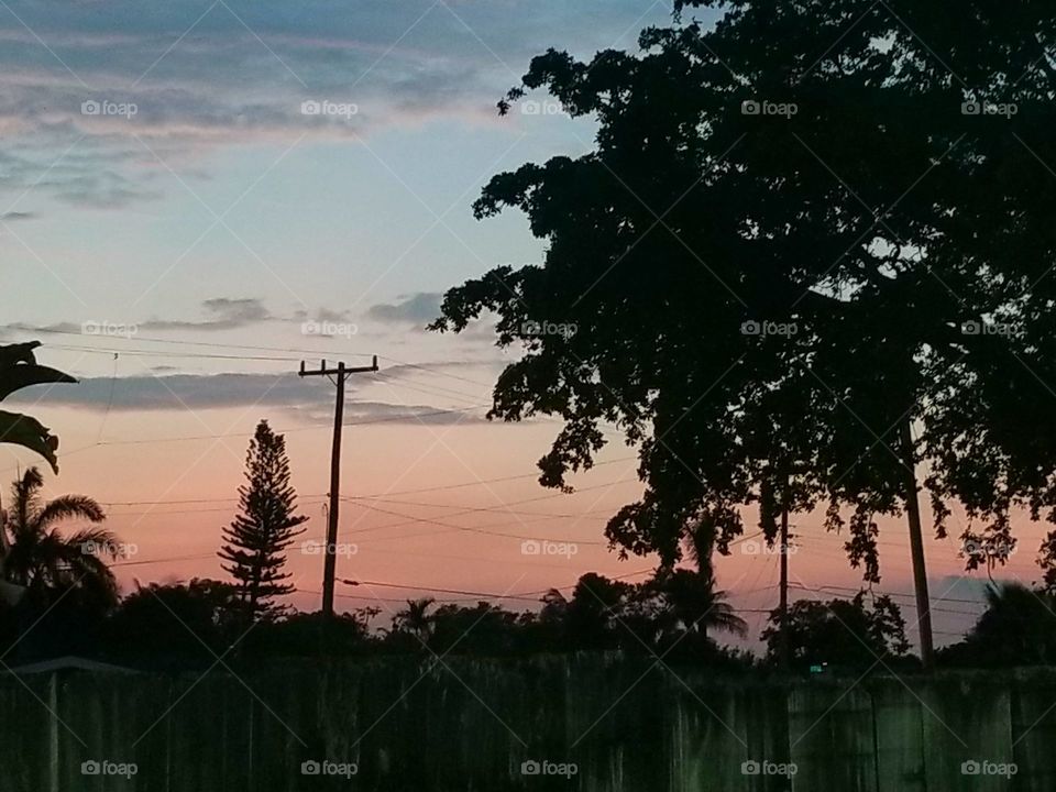 South Florida Backyard Sunset