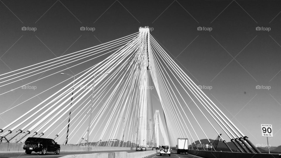 Port Mann Bridge