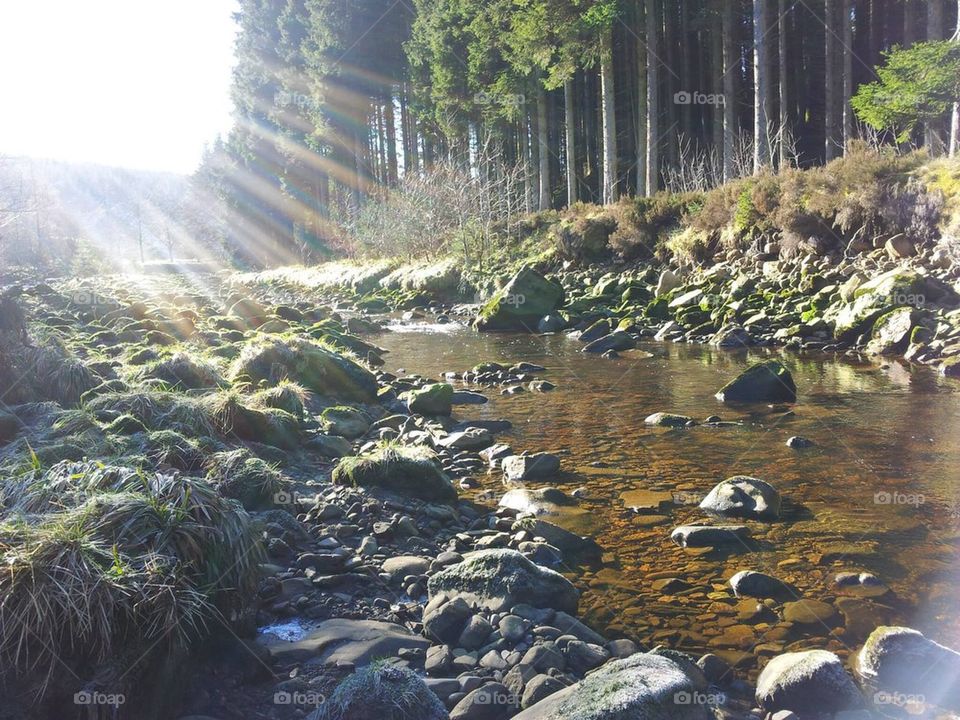 Sunlight in stream