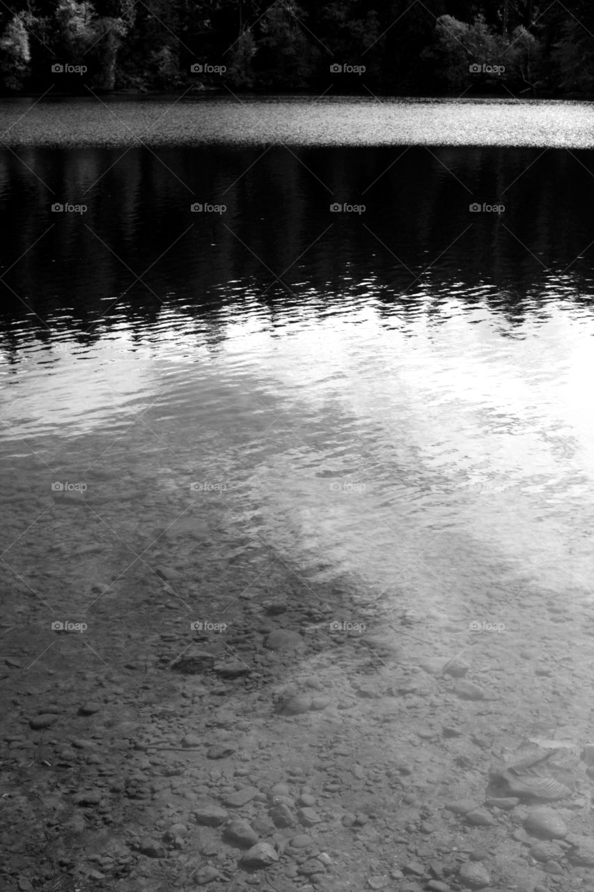 Reflection of trees on lake