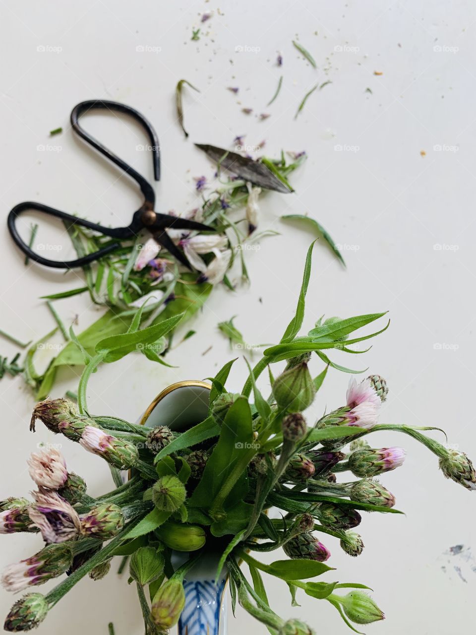 Top shot of a bouquet of wildflowers standing on a white table where a scissors are laying where someone left it behind while 