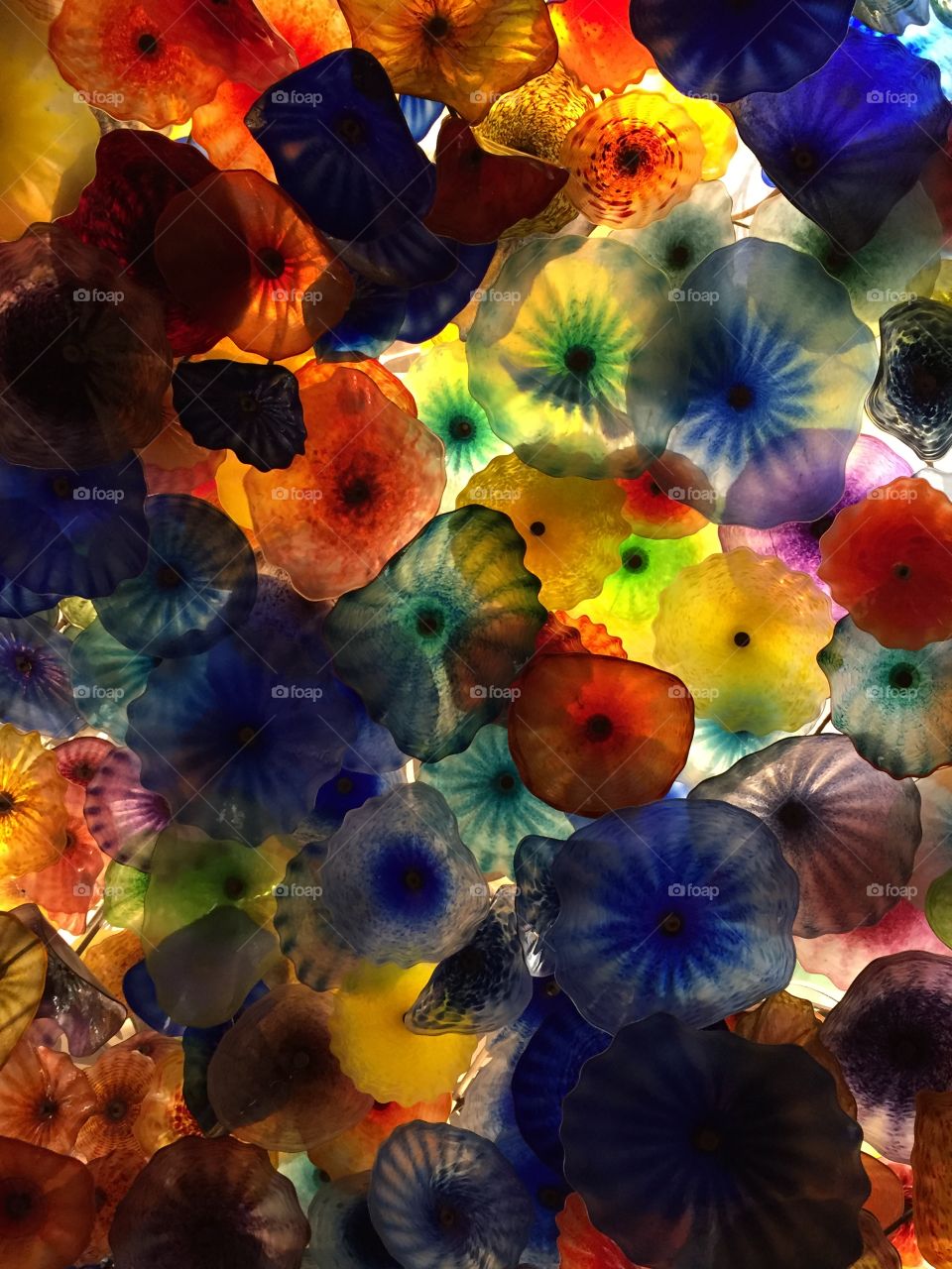 Glass ceiling at the Bellagio 