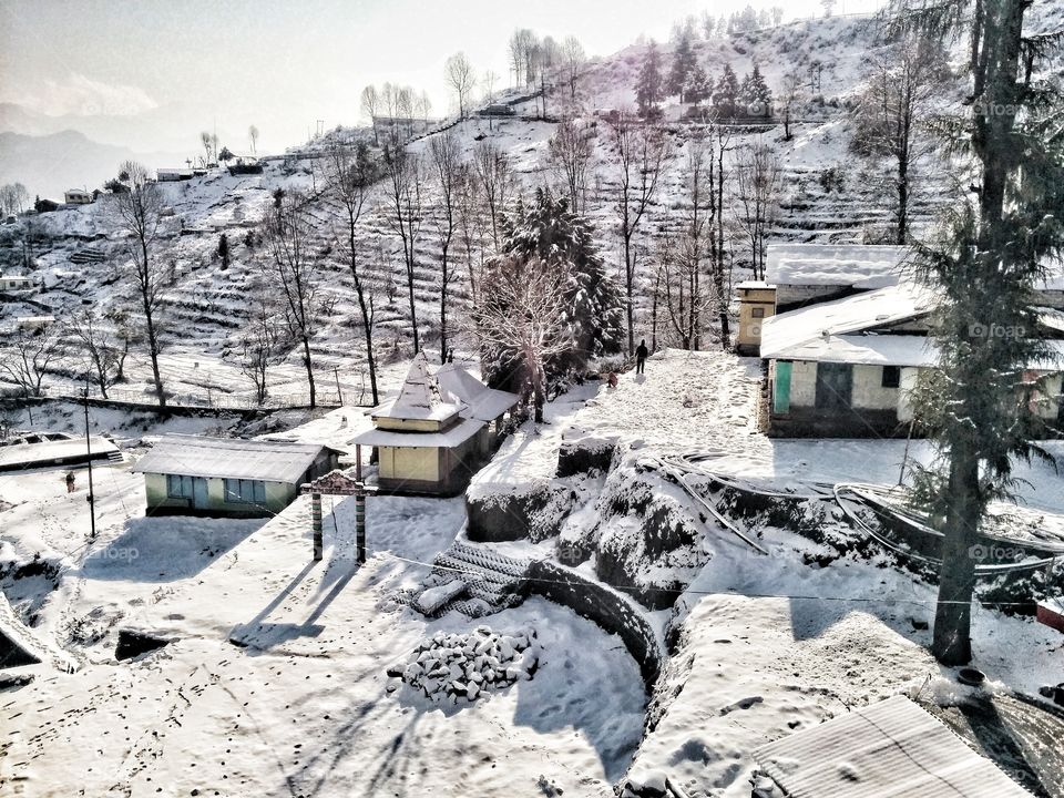 Snowy morning in munsyari