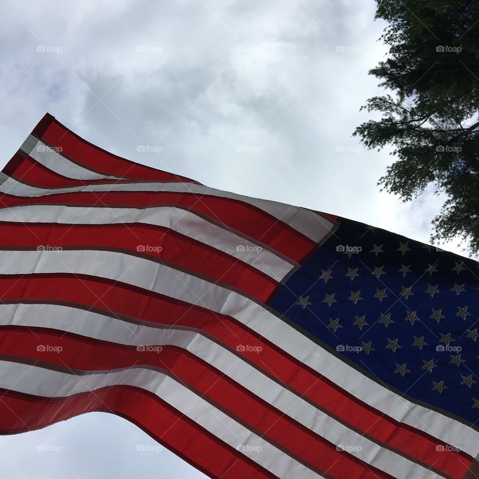 Old Glory🇺🇸Blowing In The Wind!