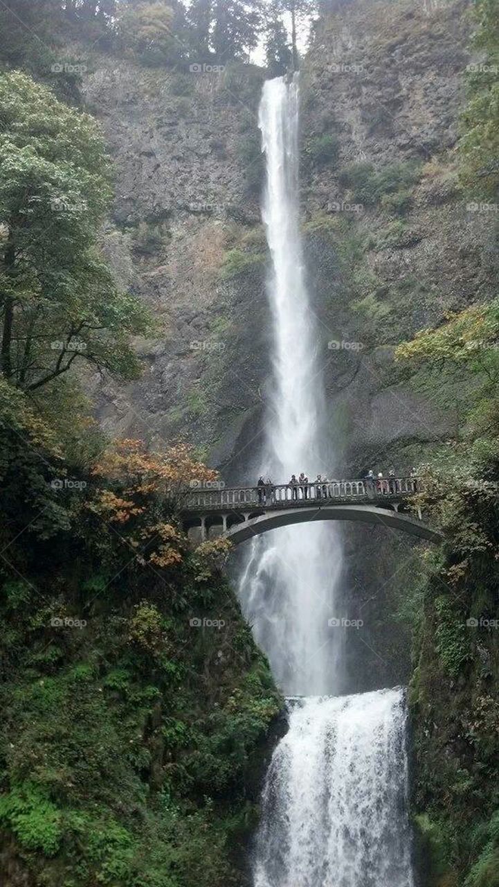 Multnomah falls Oregon
