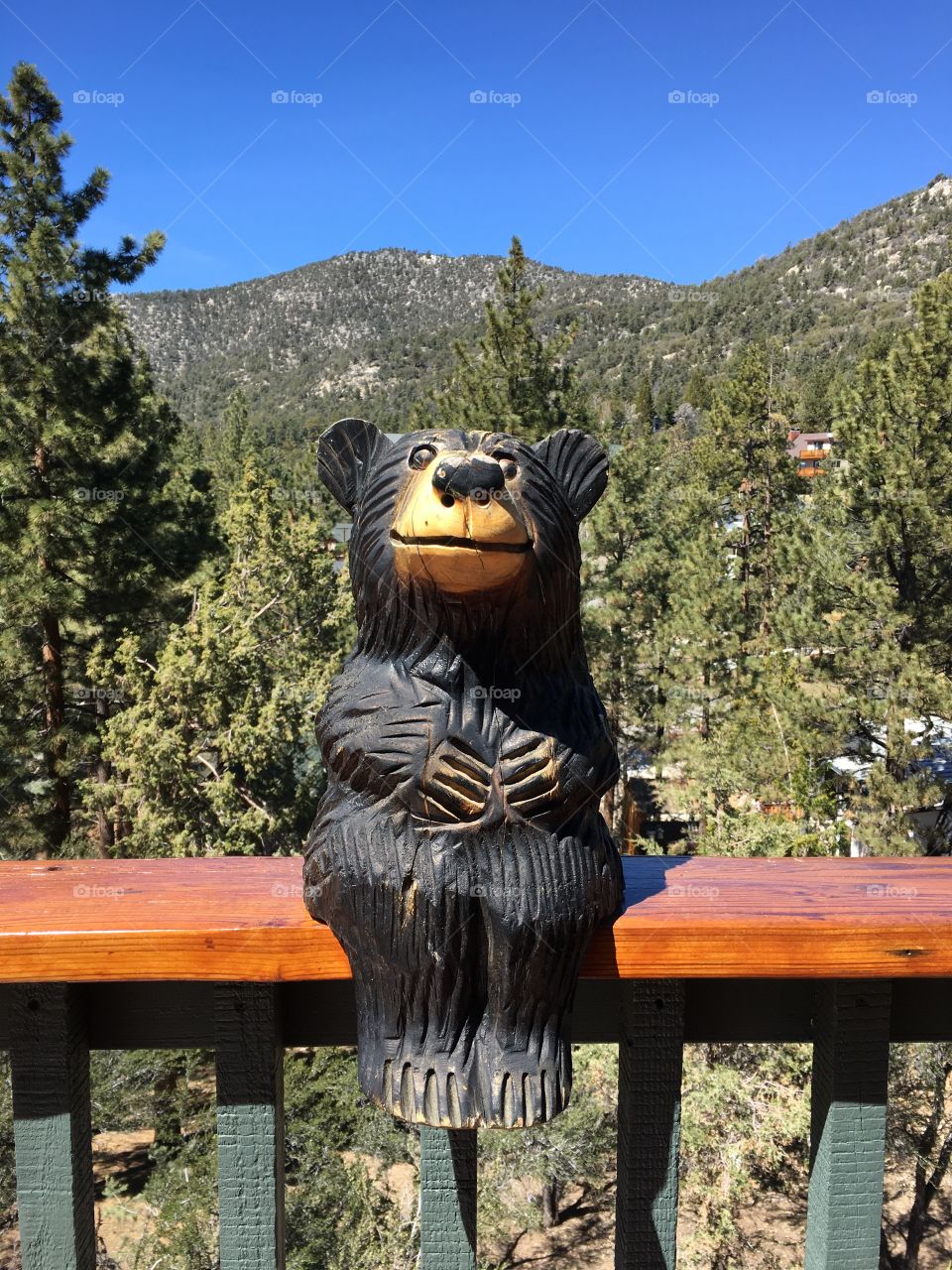 Small bear in Big Bear!