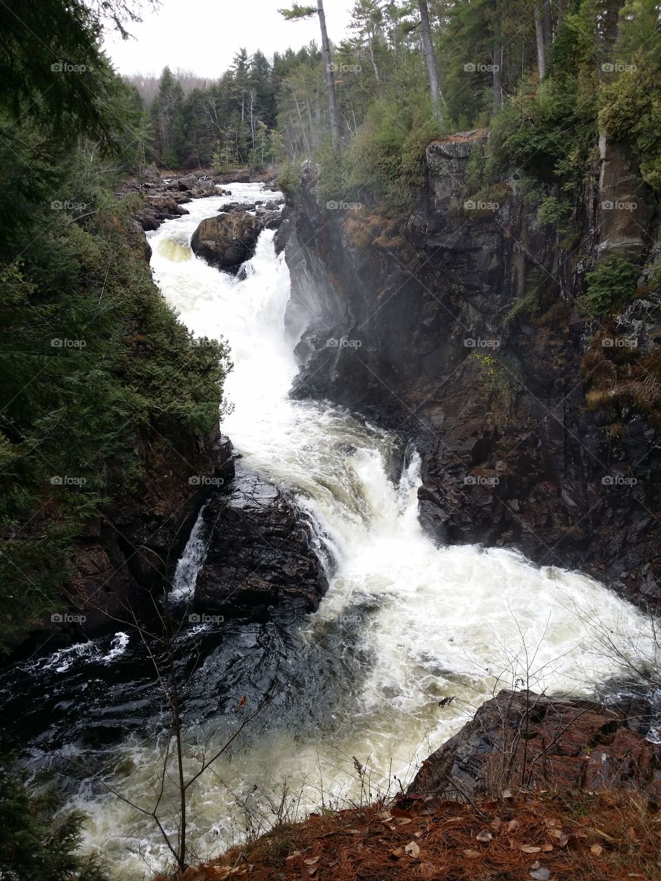 Autumn waterfall Darwin falls foamy water rocks