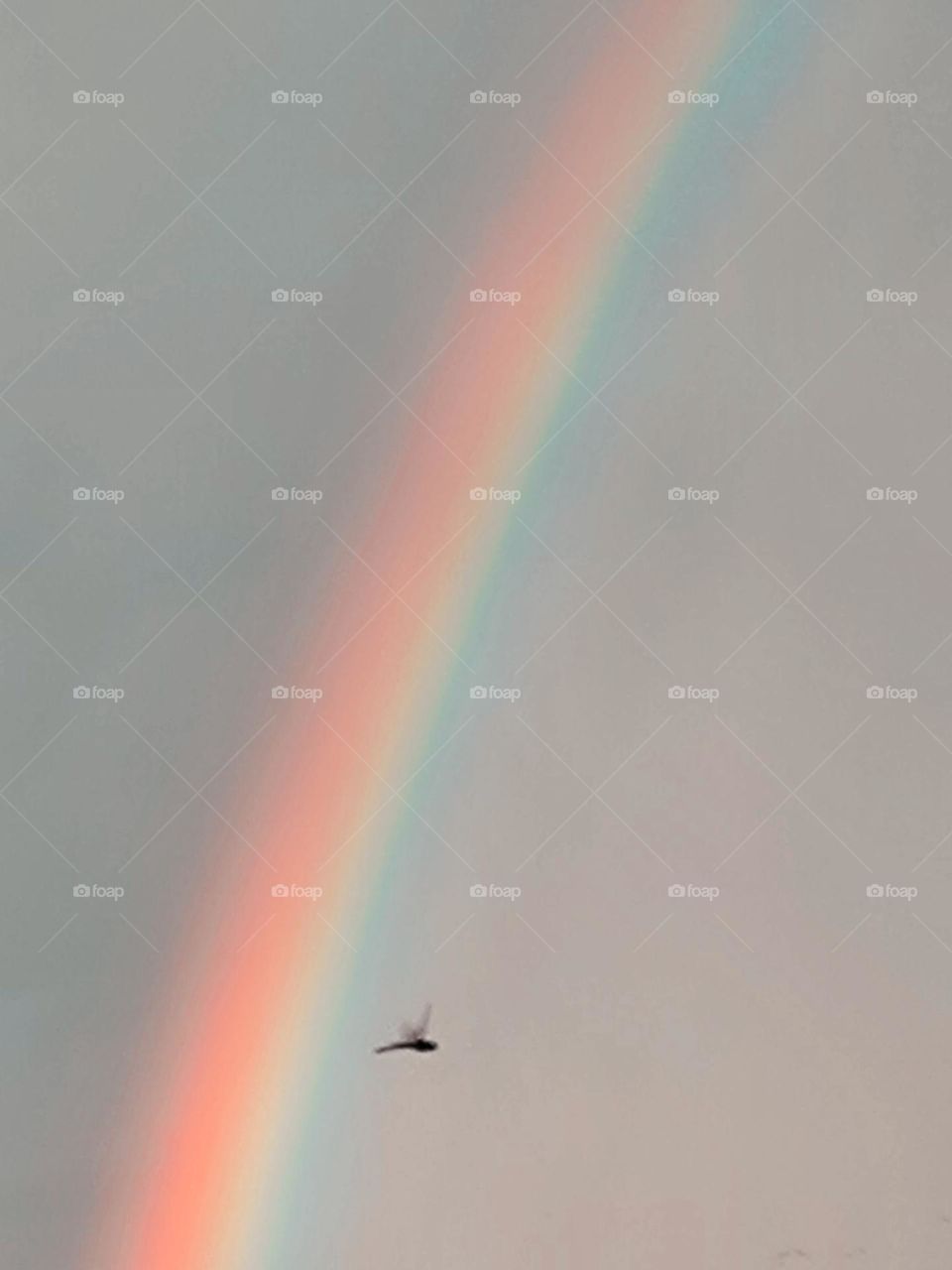 God's colors float on the screen