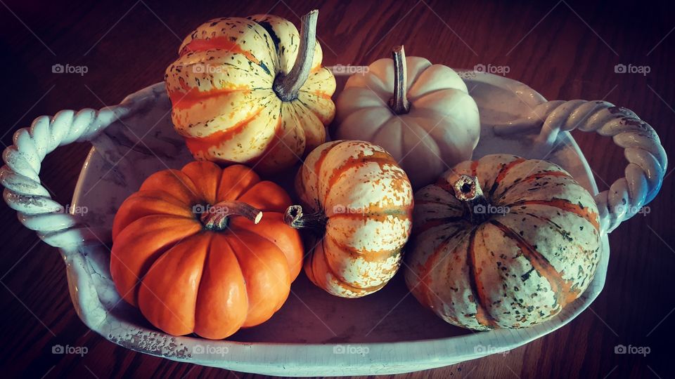 fall gourds