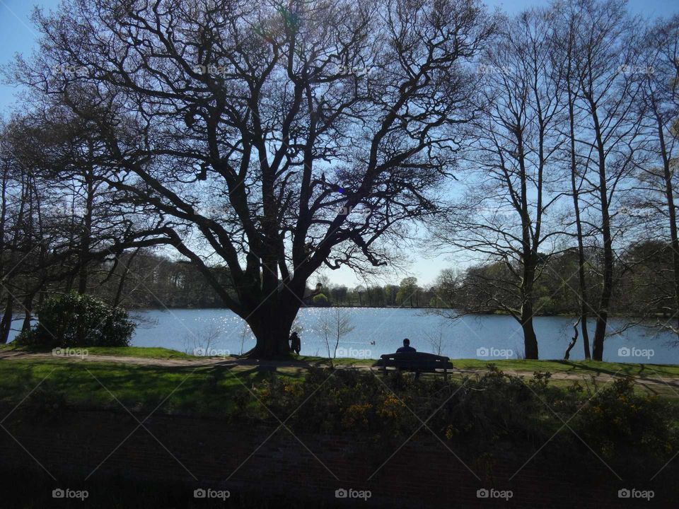 relaxing by the lake