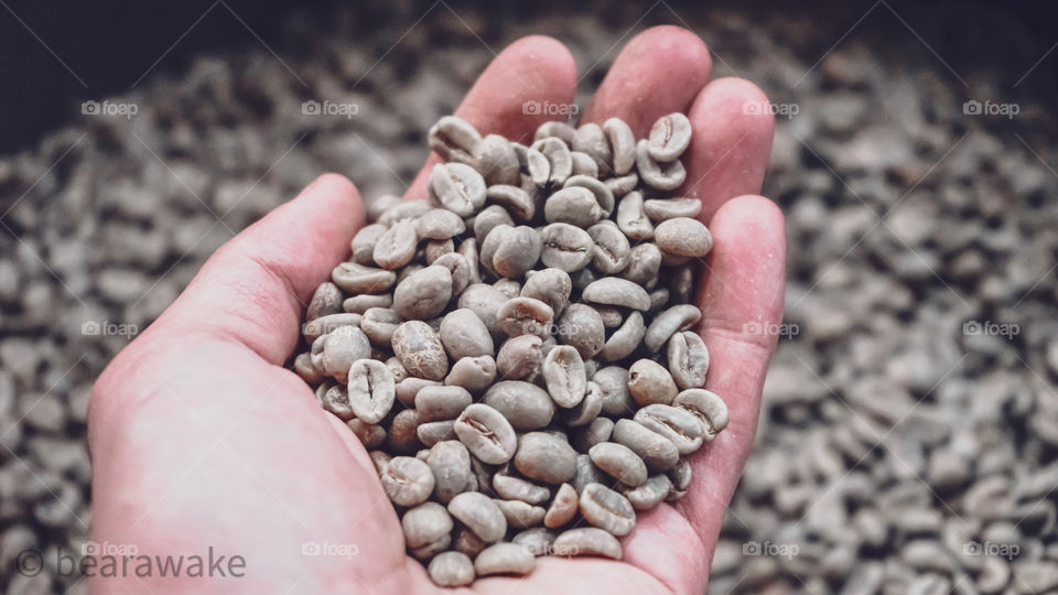 Coffee beans the most interesting thing in coffee industries