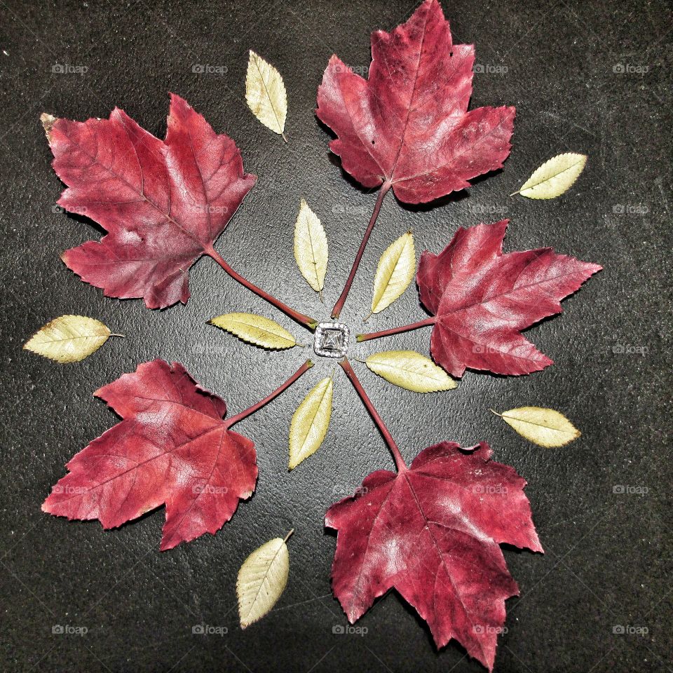 Red Leaf design