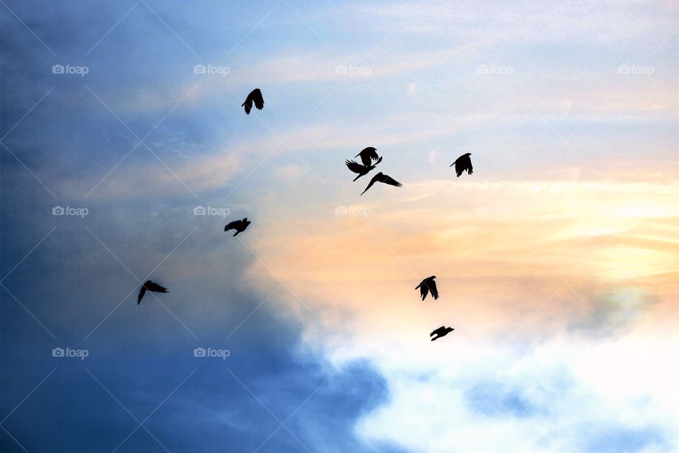 Low angle view of birds flying in dramatic sky