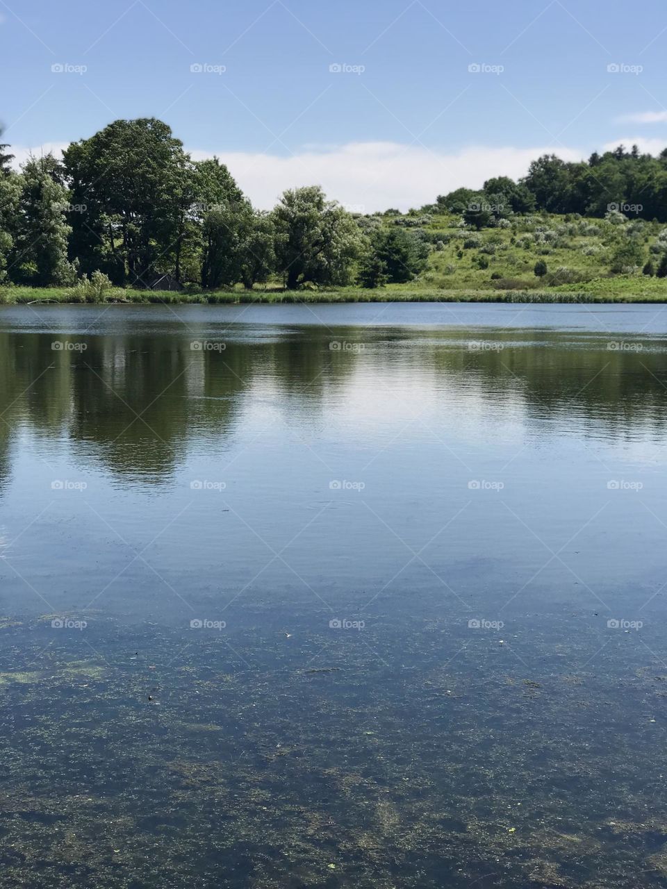 A very still summer lake on a bright, cloudy day