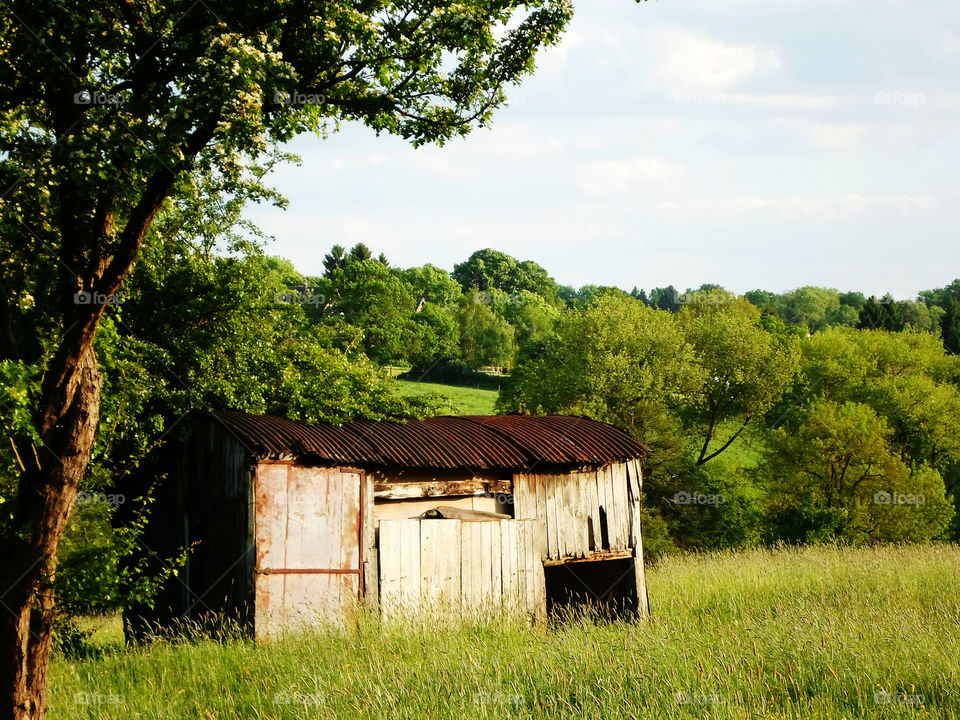 Old shed in a landscape