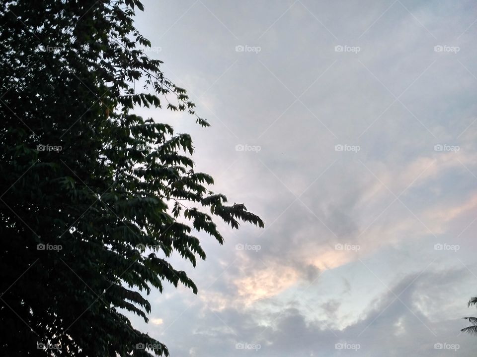 sky in the morning