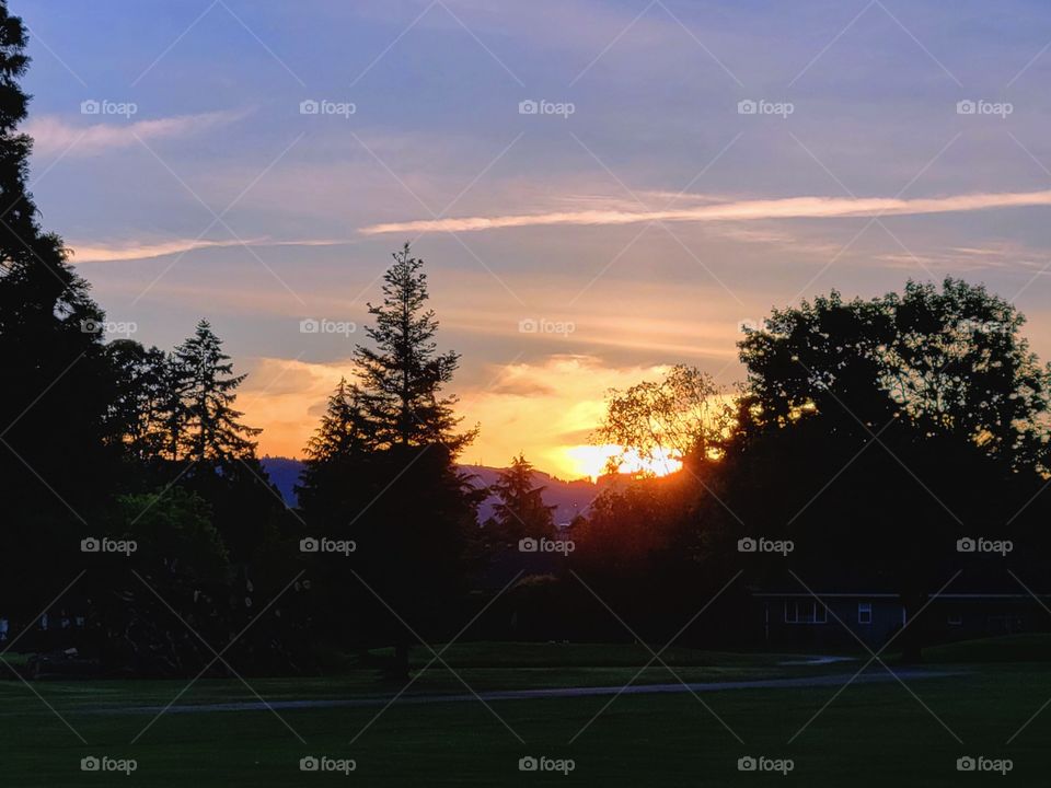 Beautiful wooded area at sunset