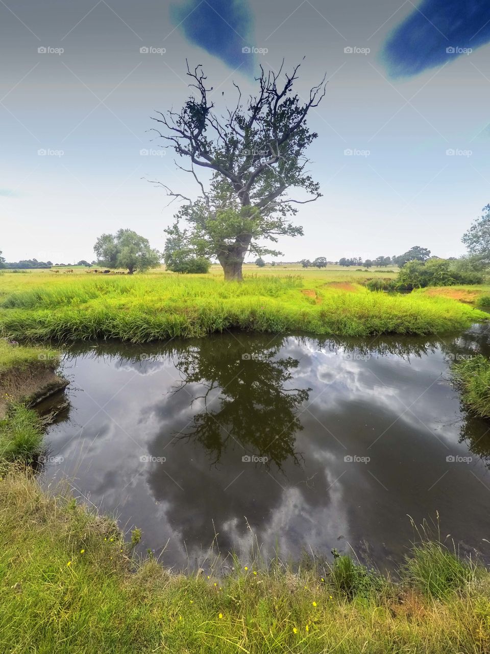 River. Countryside 