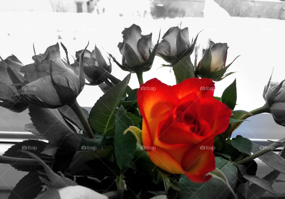 Hope amongst the crowd