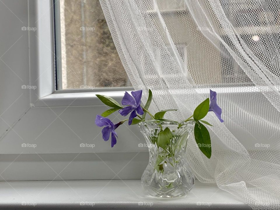 Beautiful flowers in a vase 