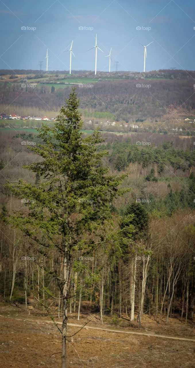 Klimawandel