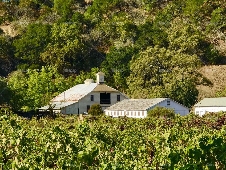 SONOMA COUNTY BARN