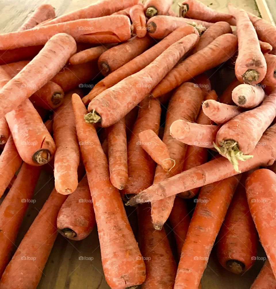 Pile of Fresh Carrots