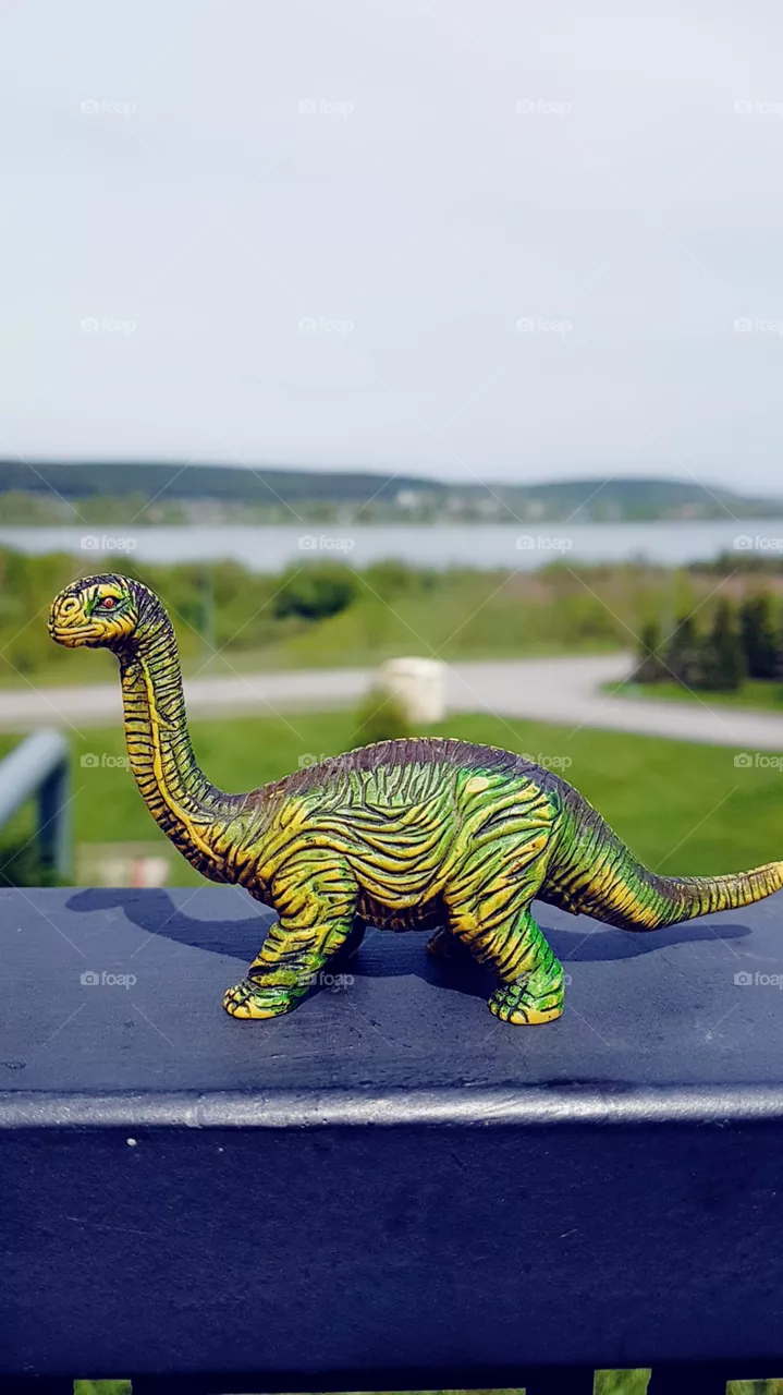 dinosaur