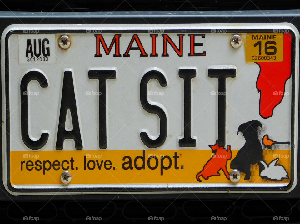 The State of Maine License Plate!