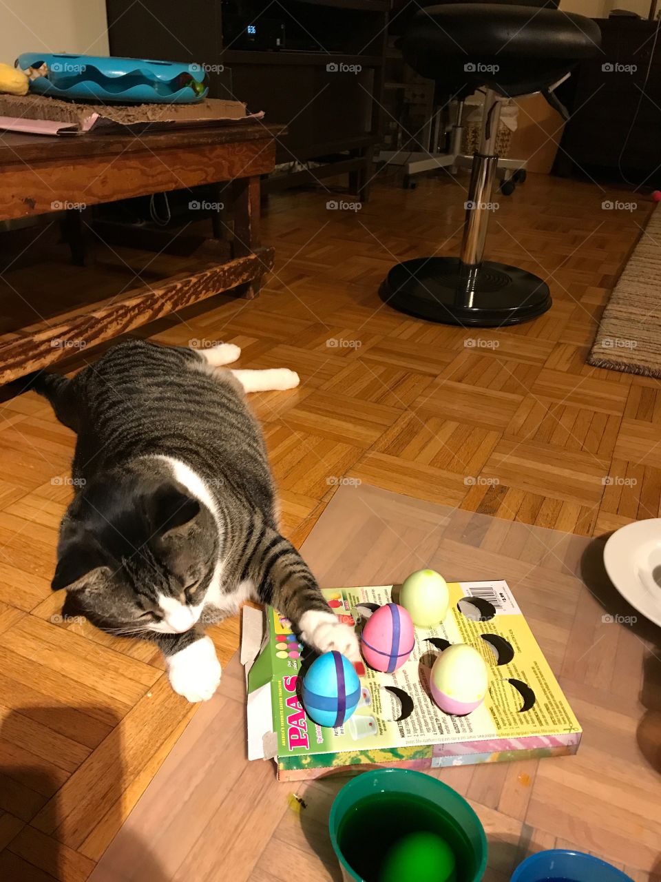 Helping to color eggs