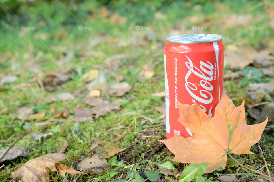 Coca Cola can in autumn